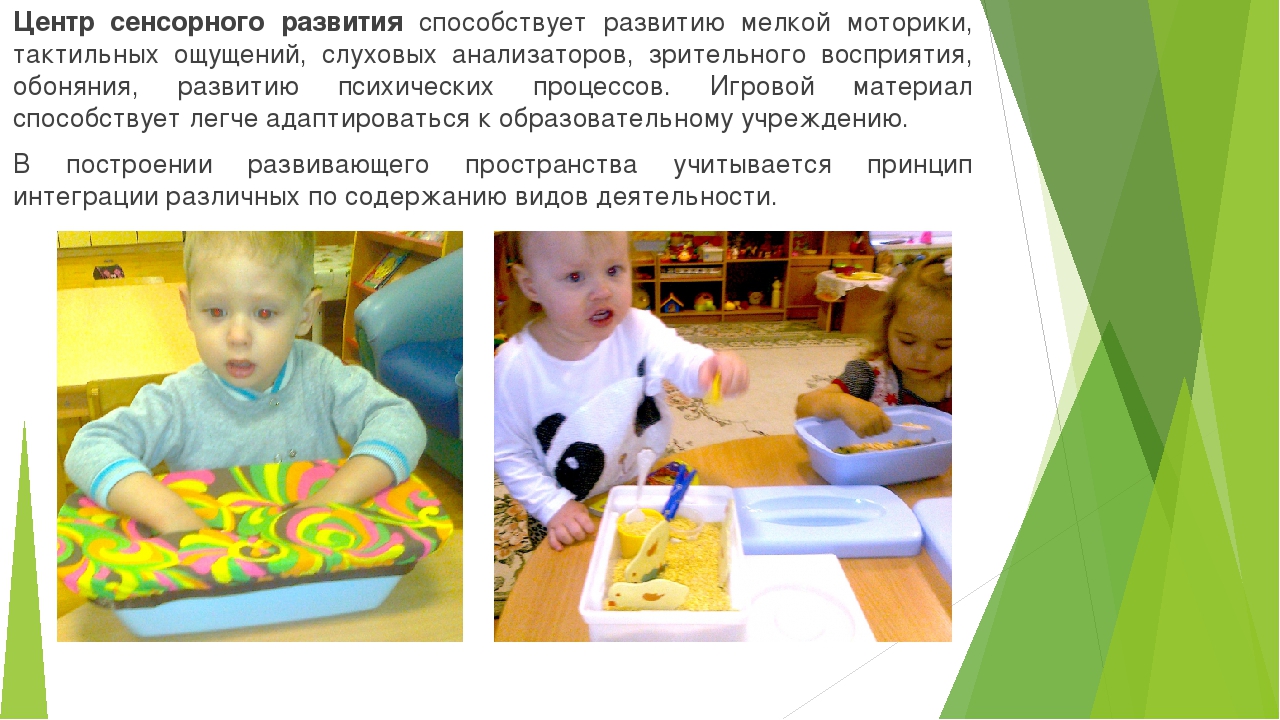 Презентация на тему "Организация предметно-пространственной развивающей среды по художественно-эстетическому развитию детей"