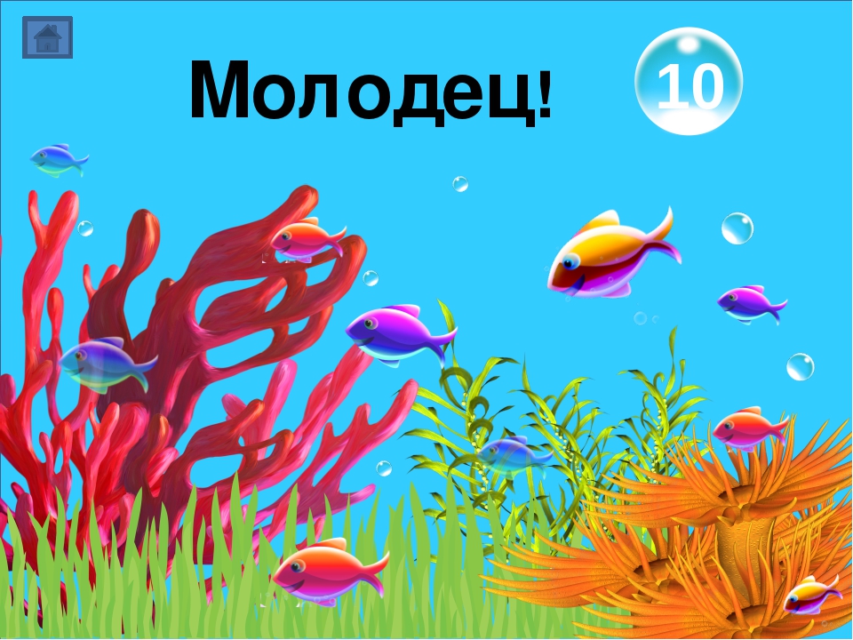 Дидактическая игра "Морское путешествие"