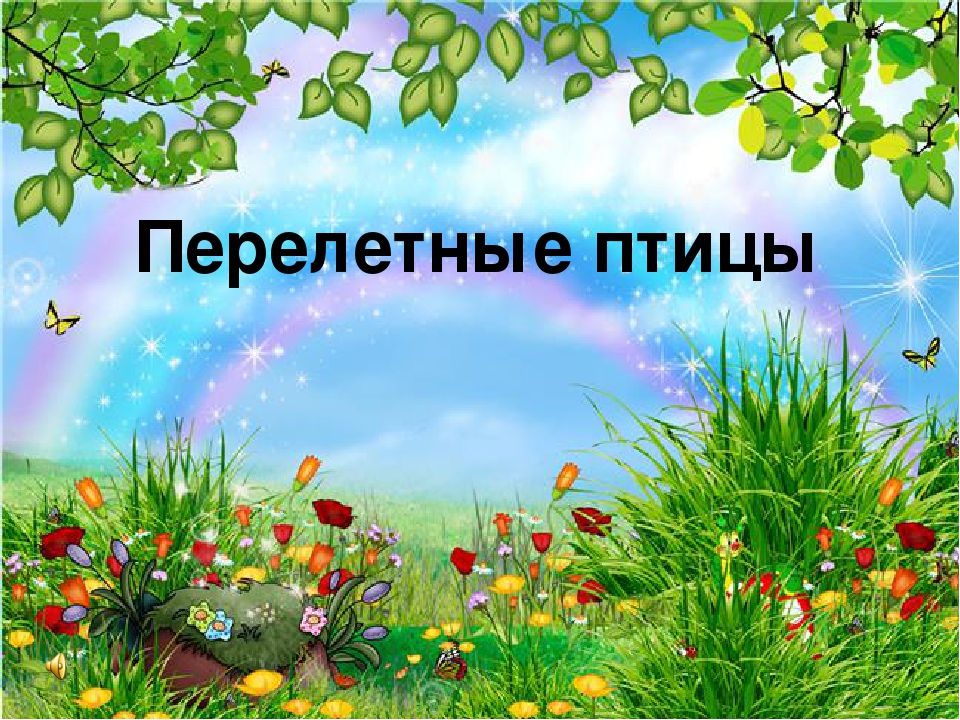 Презентация для детей с ОНР подготовительной группы "Перелетные птицы"