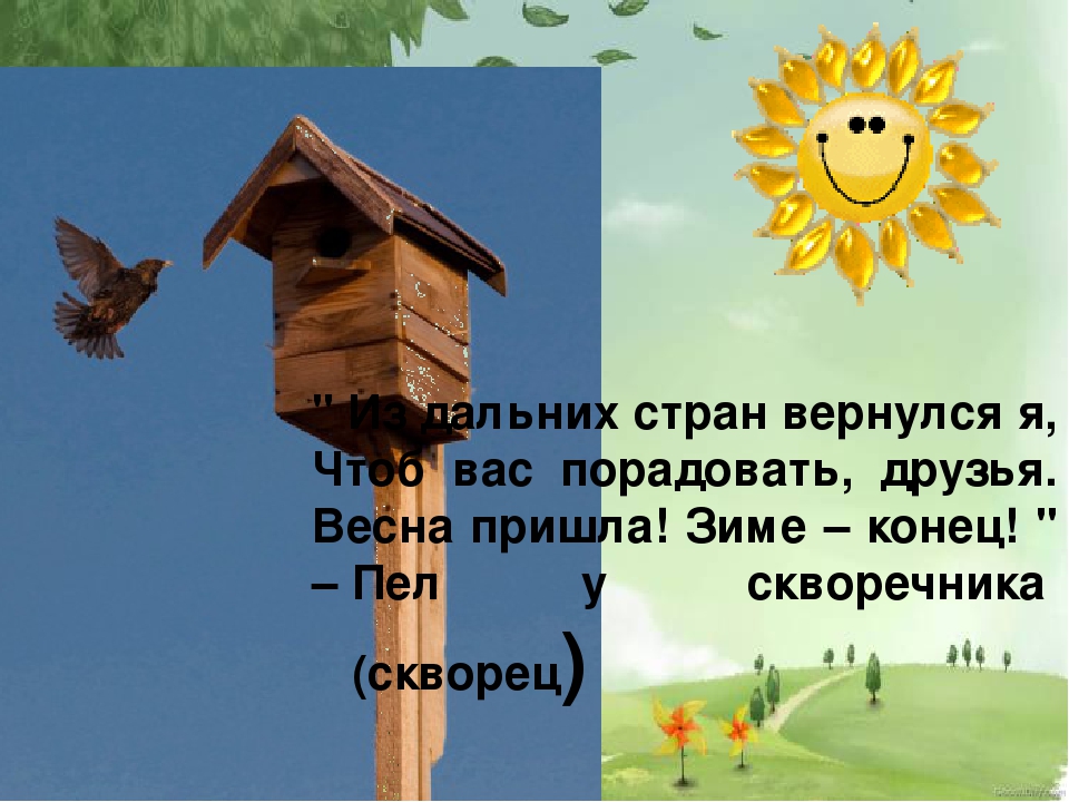 Презентация для детей с ОНР подготовительной группы "Перелетные птицы"