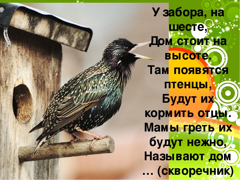 Презентация для детей с ОНР подготовительной группы "Перелетные птицы"