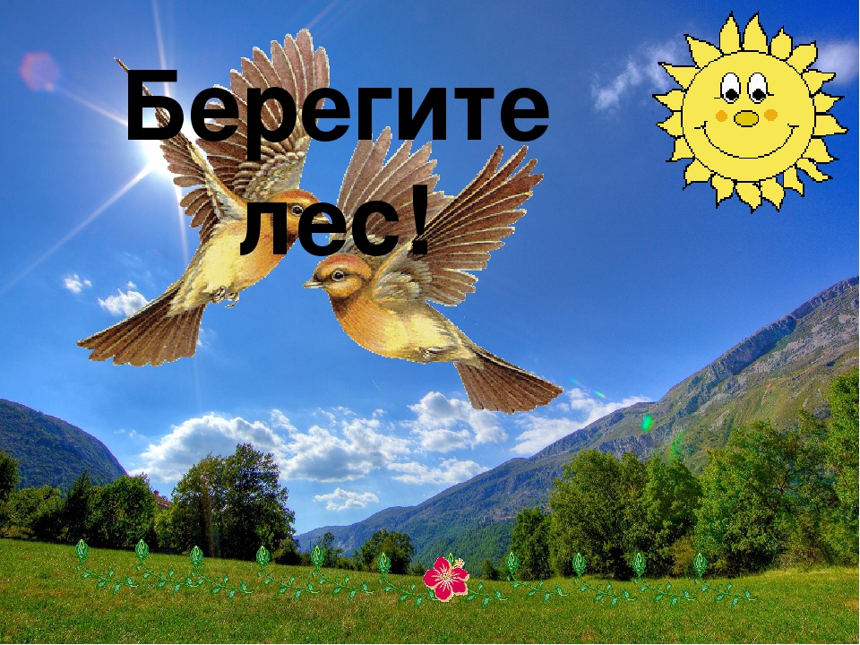 Презентация для детей с ОНР подготовительной группы "Перелетные птицы"