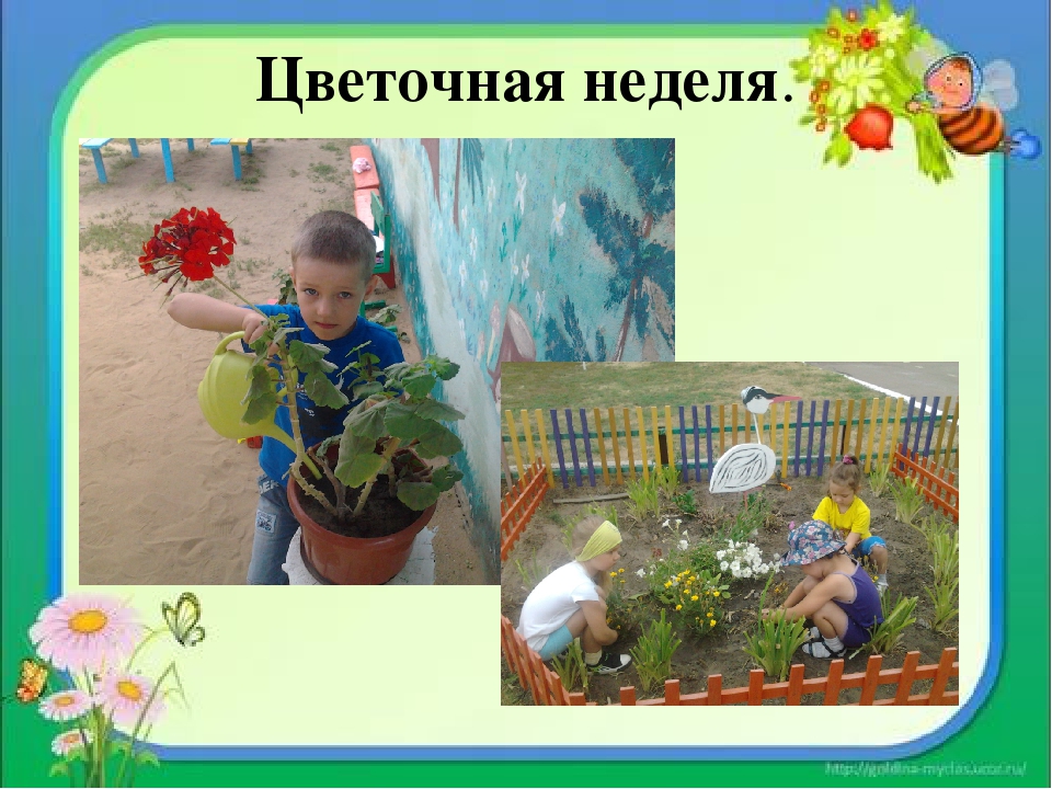 Презентация по познанию "Вот так мы провели лето!"