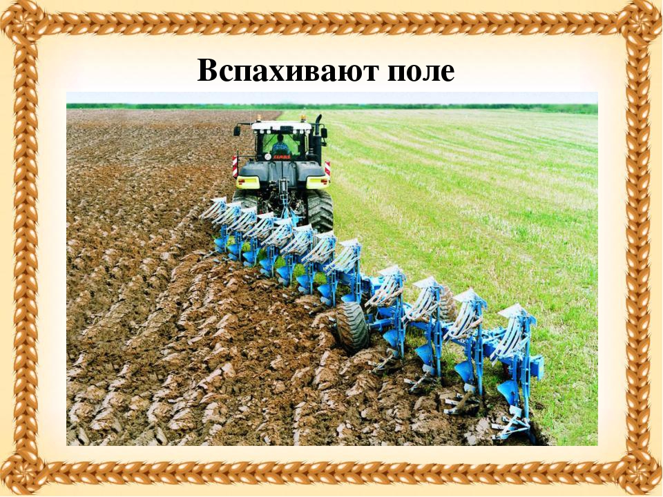 Презентация на тему "Хлеб - всему голова!"