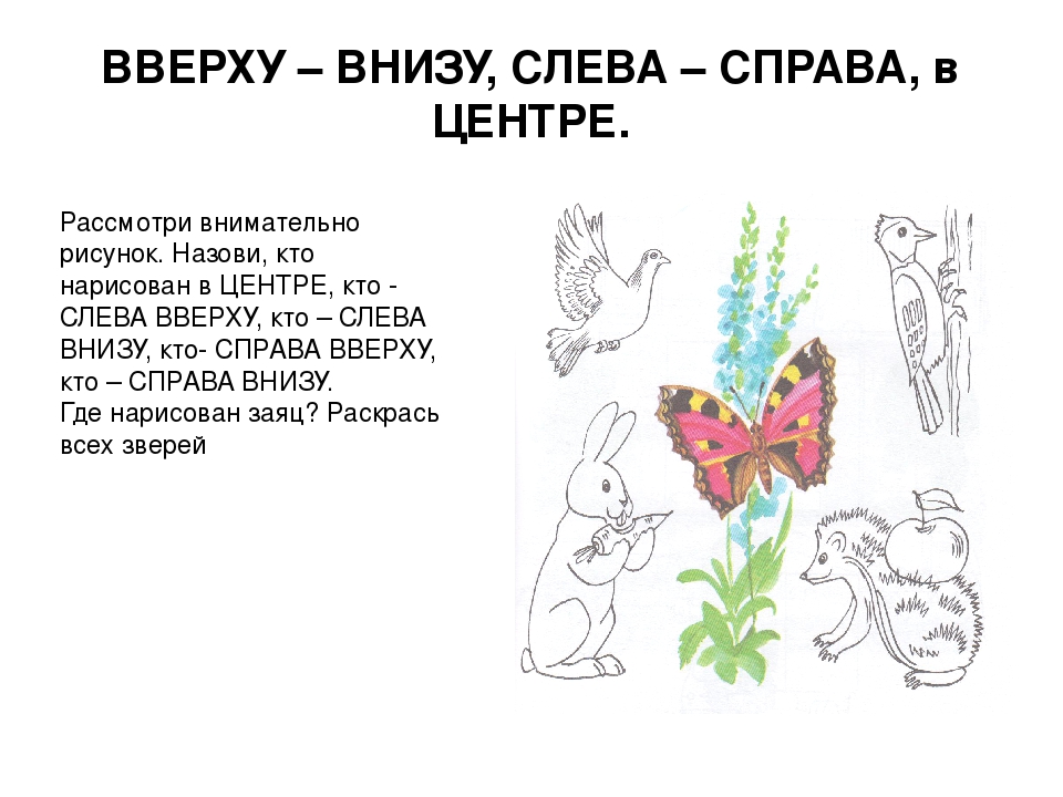 Презентация для детей "Развиваем пространственные представления у детей с особенностями психофизического развития"