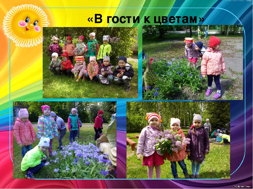 Презентация Фотоотчет "Вот какое наше лето"