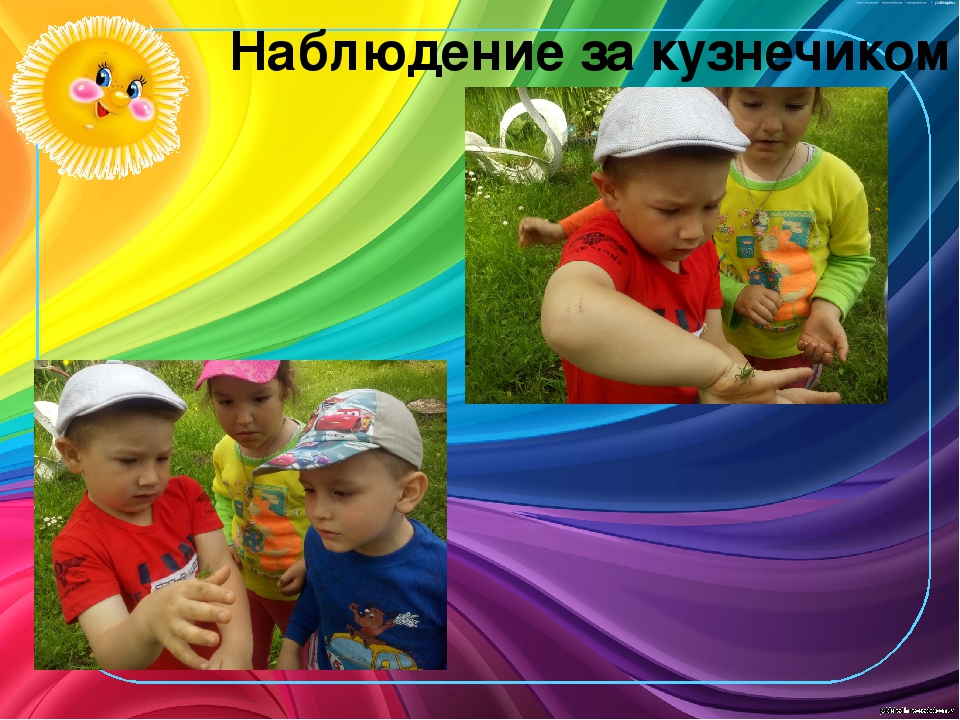Презентация Фотоотчет "Вот какое наше лето"