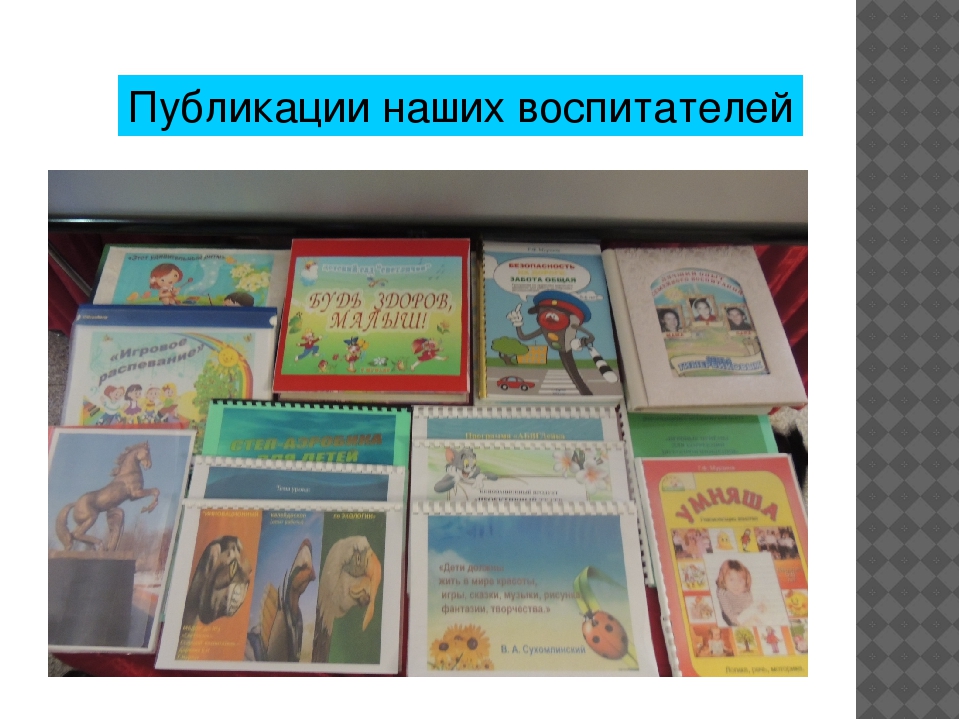 Отчёт о проделаной работе ДОУ за год "Публичный доклад"