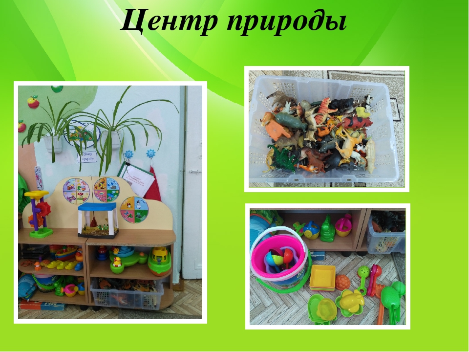 Презентация "Предметно-развивающая среда группы"