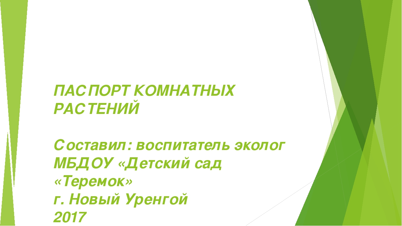 Презентация "Паспорта комнатных растений"