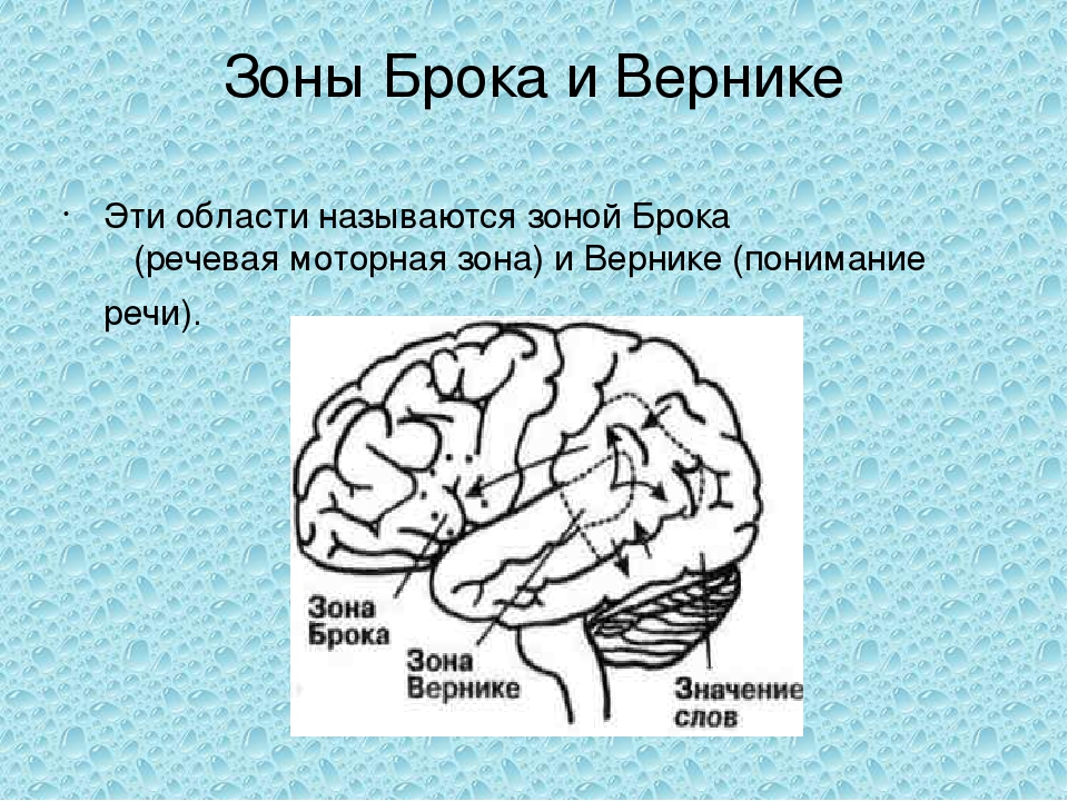 Презентация для воспитателей Пальчиковая гимнастика