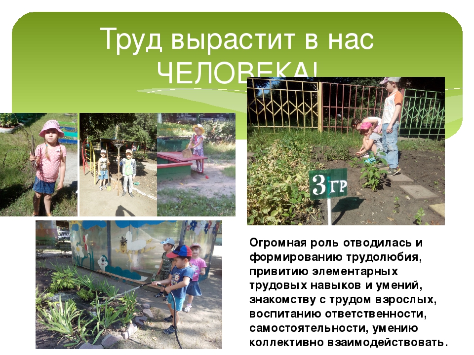 Отчет о летнем оздоровительном периоде