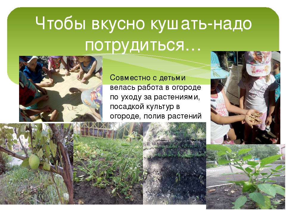 Отчет о летнем оздоровительном периоде
