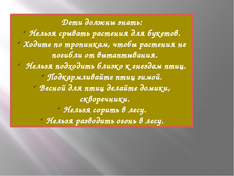 "Прогулка с семьей на природе для формирование ЗОЖ"