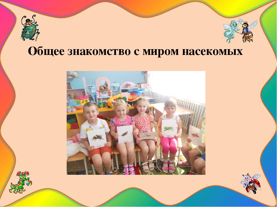 Презентация на тему " Путешествие в мир насекомых"