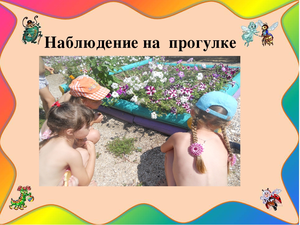 Презентация на тему " Путешествие в мир насекомых"
