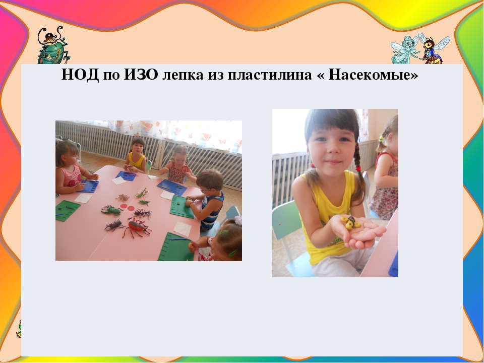 Презентация на тему " Путешествие в мир насекомых"
