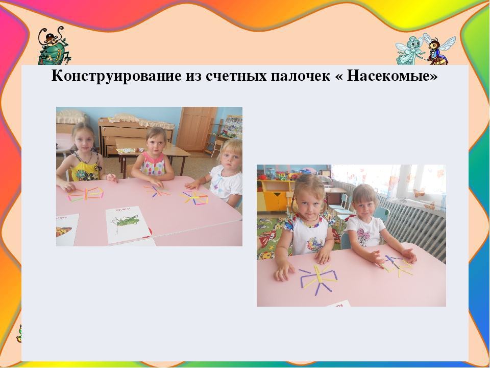 Презентация на тему " Путешествие в мир насекомых"