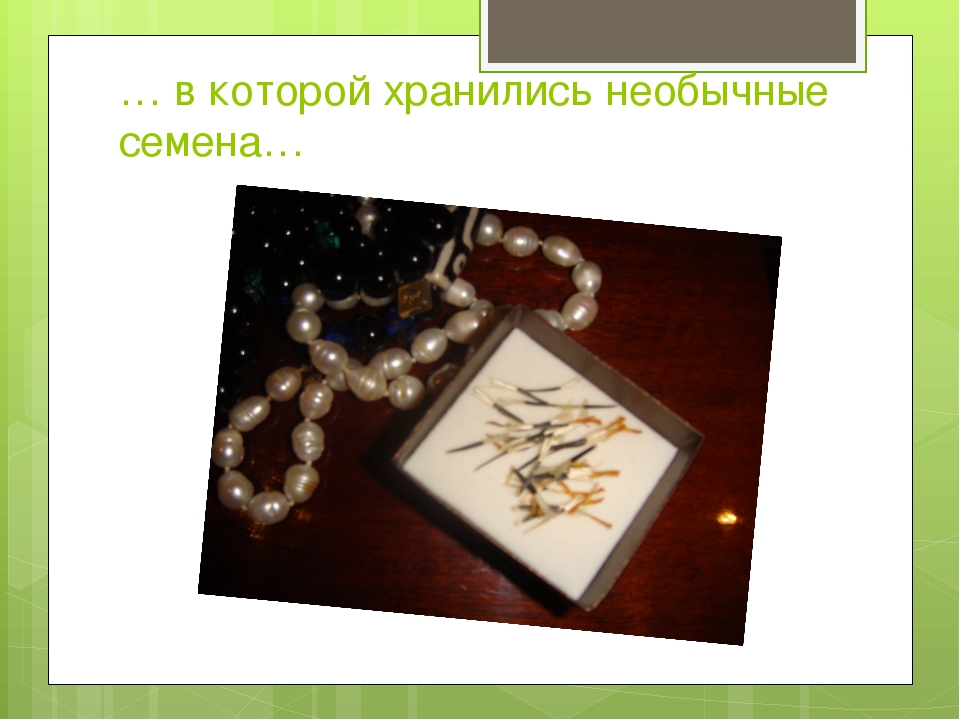 Презентация к проекту "Сказка о чуде" (Вторая младшая группа)