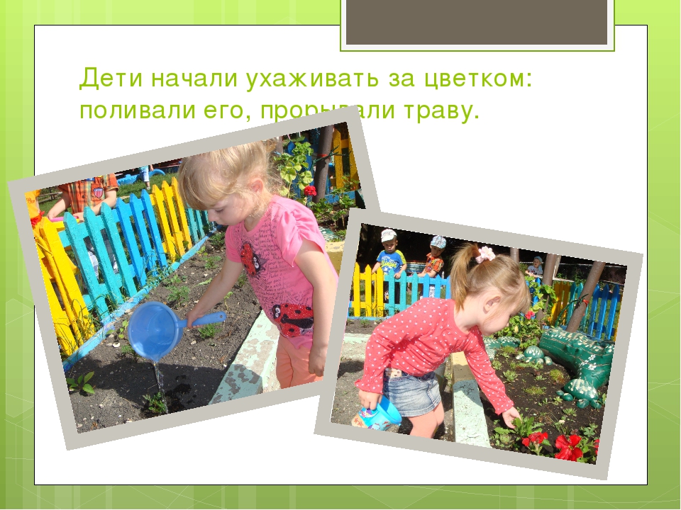 Презентация к проекту "Сказка о чуде" (Вторая младшая группа)