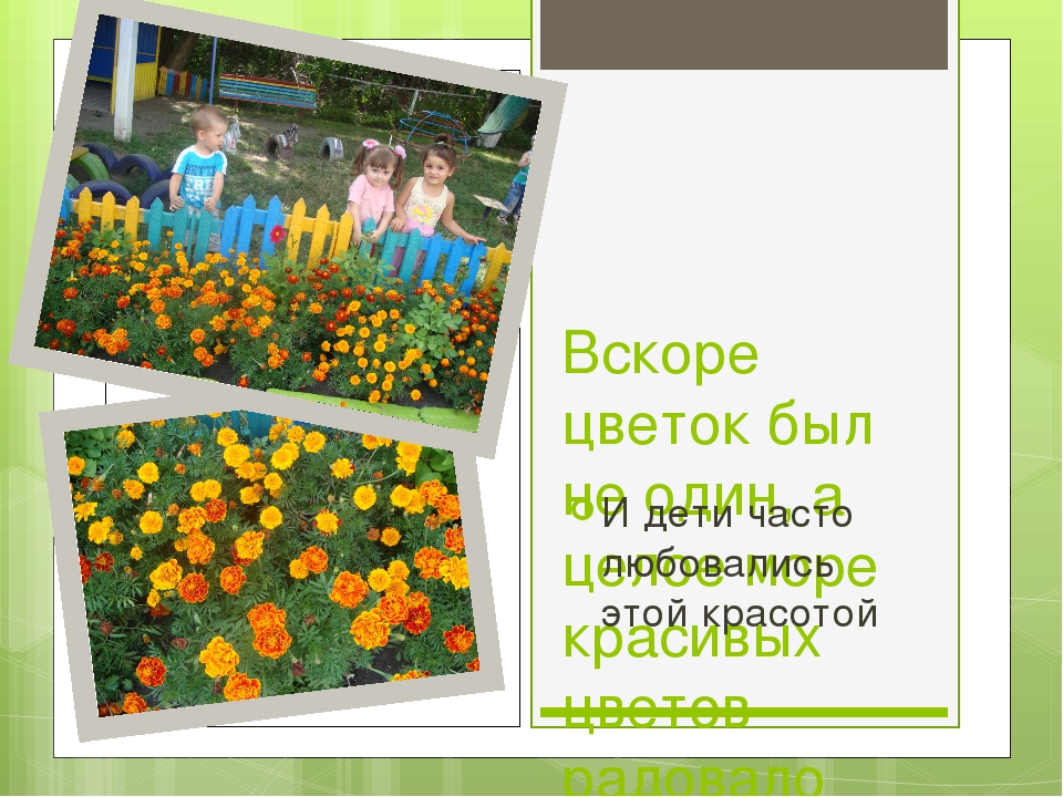 Презентация к проекту "Сказка о чуде" (Вторая младшая группа)