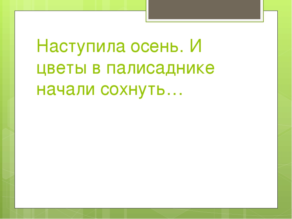 Презентация к проекту "Сказка о чуде" (Вторая младшая группа)