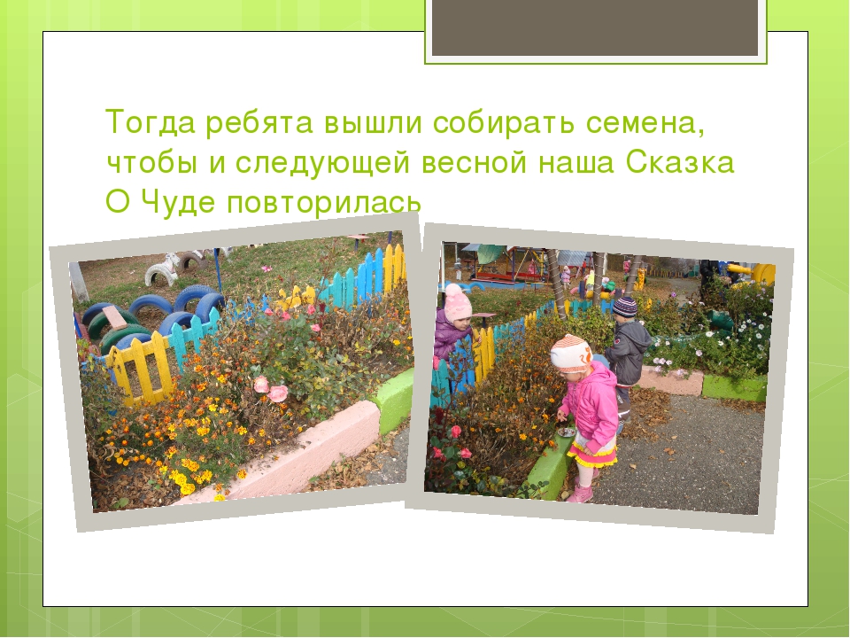 Презентация к проекту "Сказка о чуде" (Вторая младшая группа)