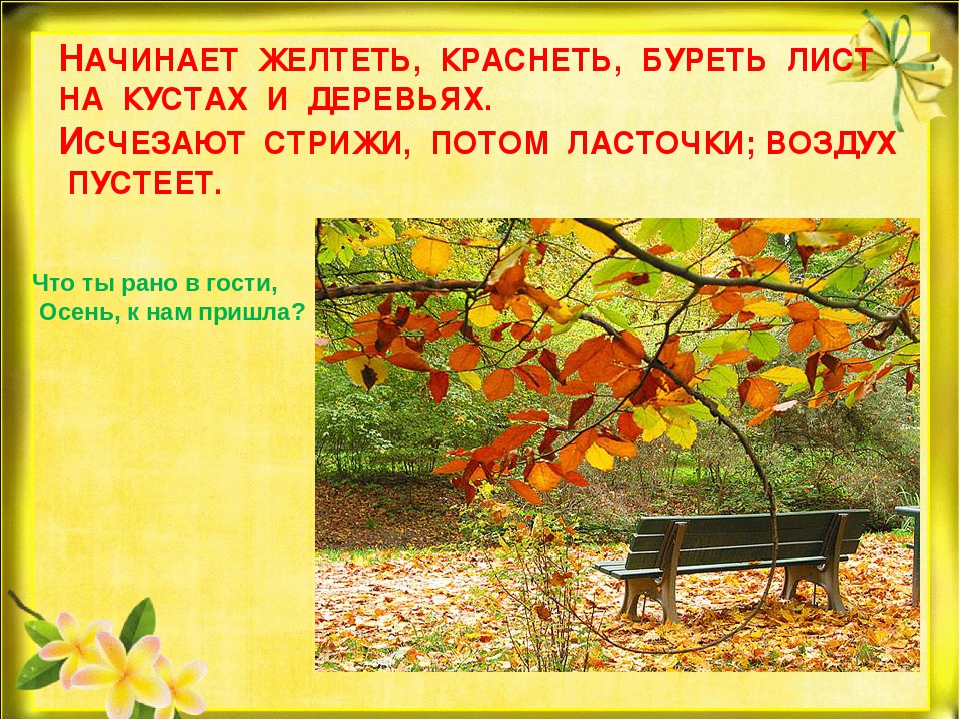 Презентация "Природа готовится к зиме"