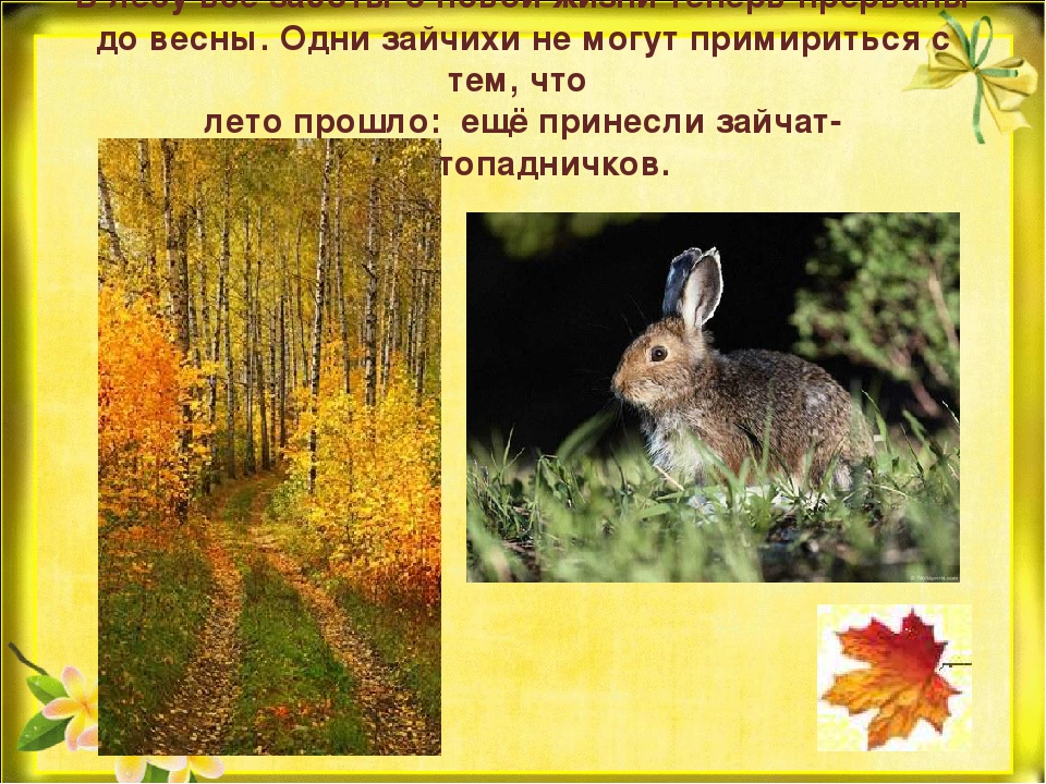 Презентация "Природа готовится к зиме"
