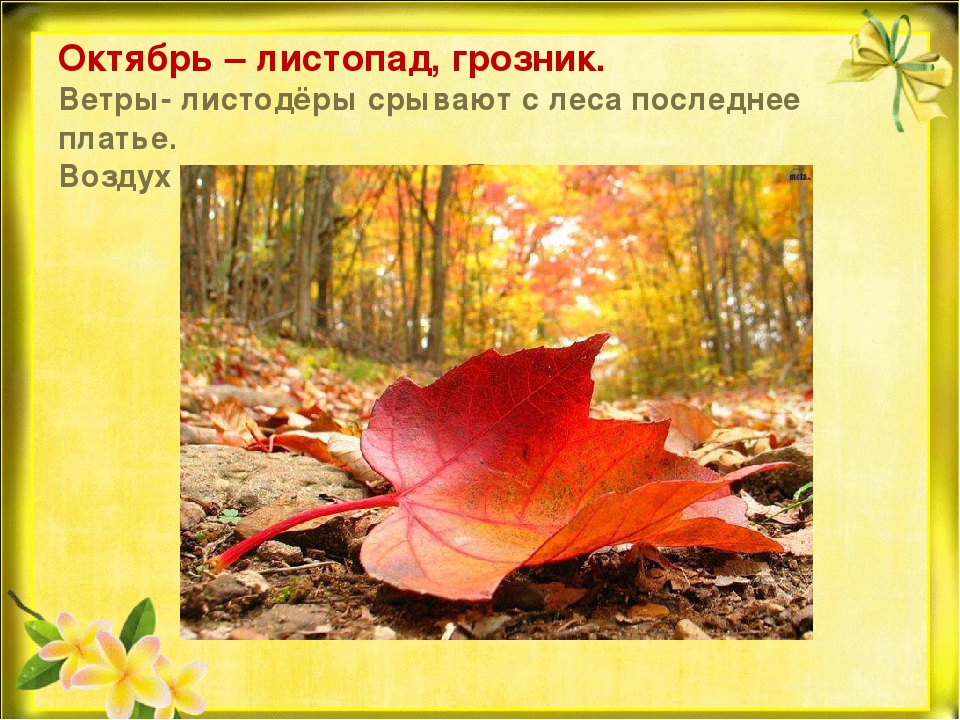 Презентация "Природа готовится к зиме"