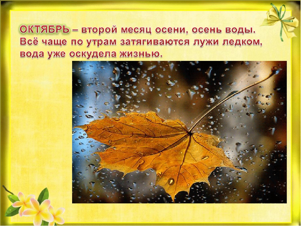 Презентация "Природа готовится к зиме"
