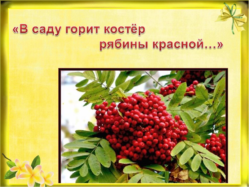 Презентация "Природа готовится к зиме"