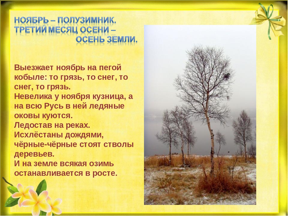 Презентация "Природа готовится к зиме"