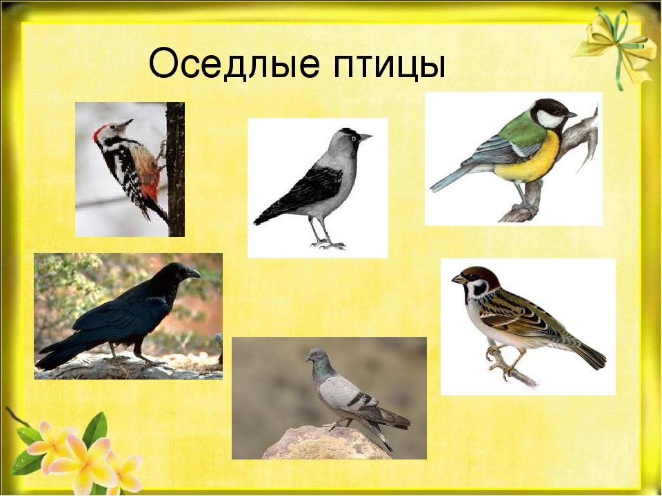 Презентация "Природа готовится к зиме"