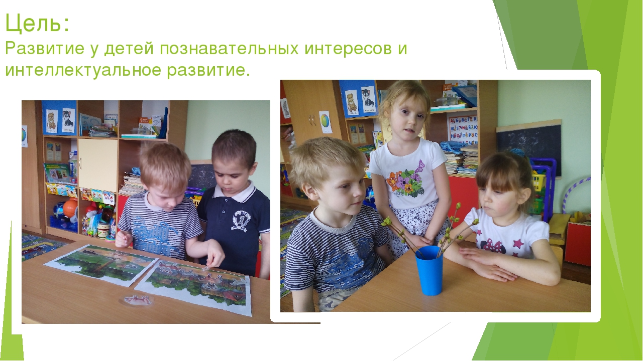 Презентация "УМК в познавательном развитии"