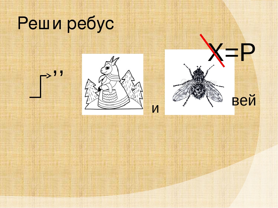 Насекомые ребусы в картинках