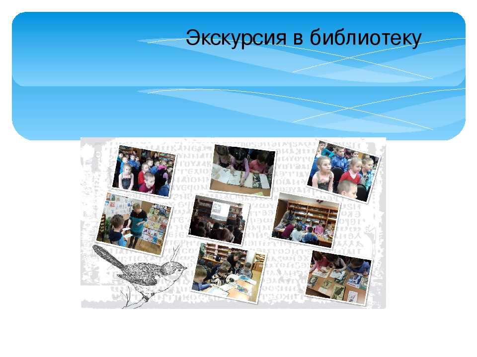 Проект по формированию экологических представлений детей старшего дошкольного возраста "Недвижимость для птиц"