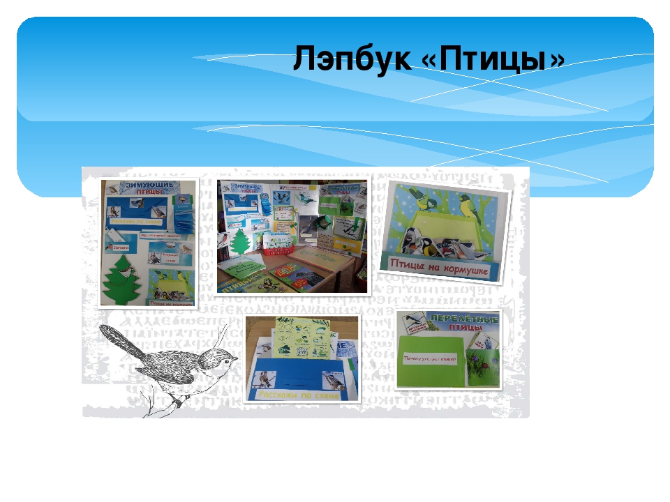 Проект по формированию экологических представлений детей старшего дошкольного возраста "Недвижимость для птиц"