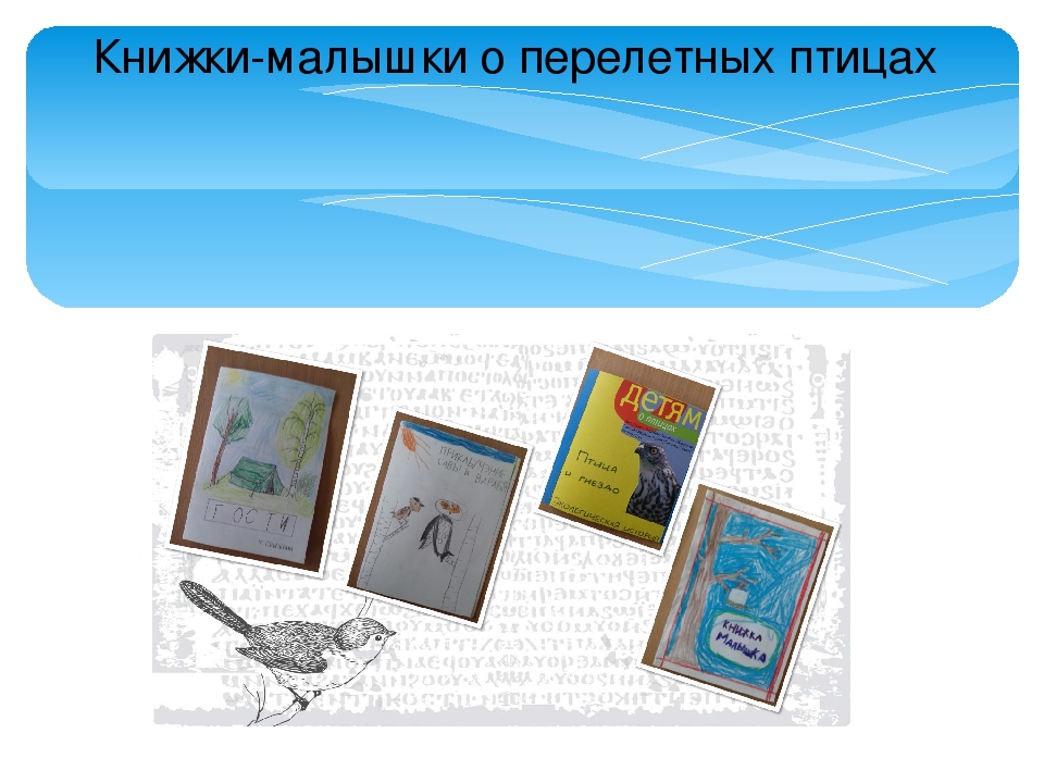 Проект по формированию экологических представлений детей старшего дошкольного возраста "Недвижимость для птиц"