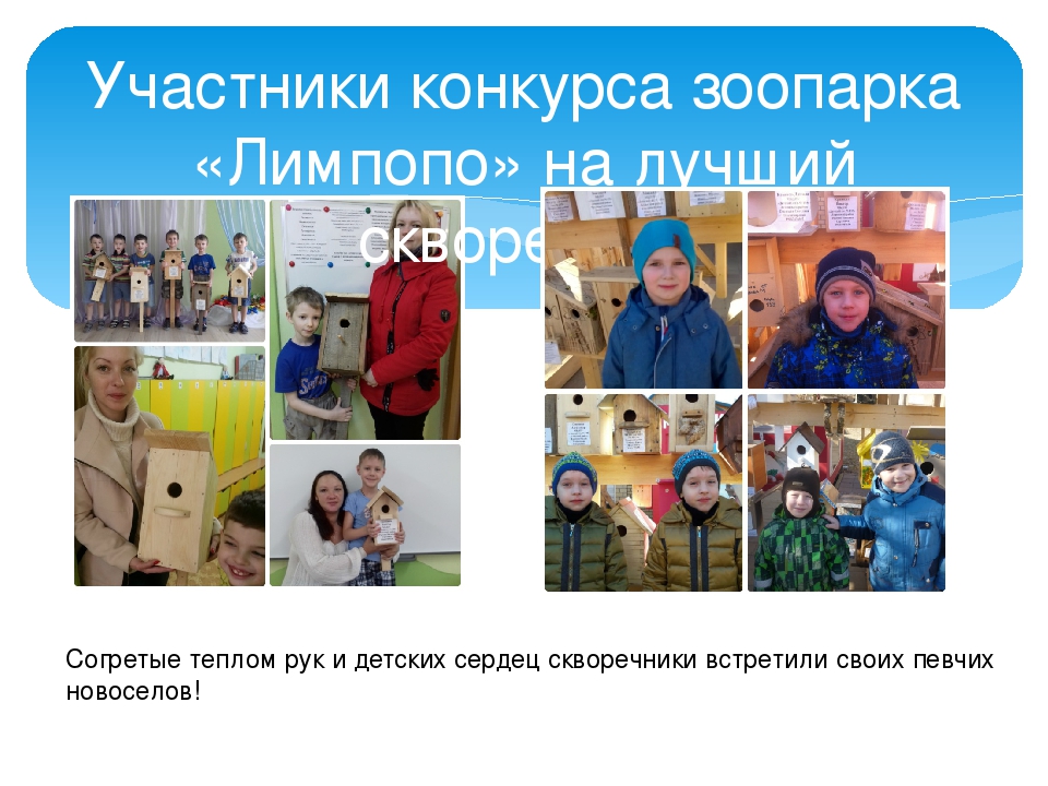 Проект по формированию экологических представлений детей старшего дошкольного возраста "Недвижимость для птиц"
