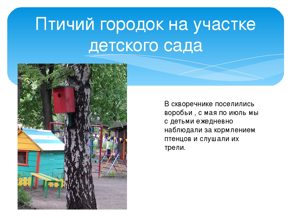 Проект по формированию экологических представлений детей старшего дошкольного возраста "Недвижимость для птиц"