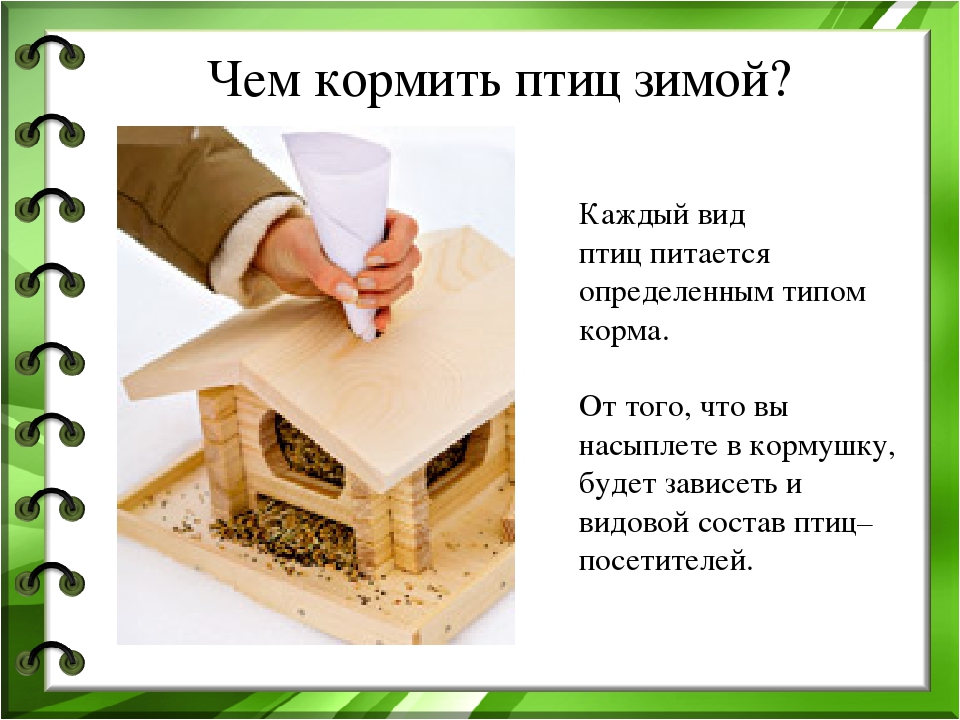 Презентация к проекту "Покормите птиц зимой"