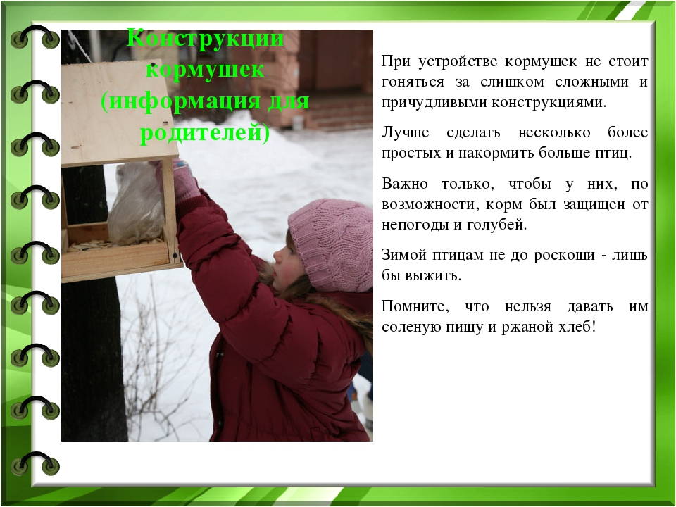 Презентация к проекту "Покормите птиц зимой"