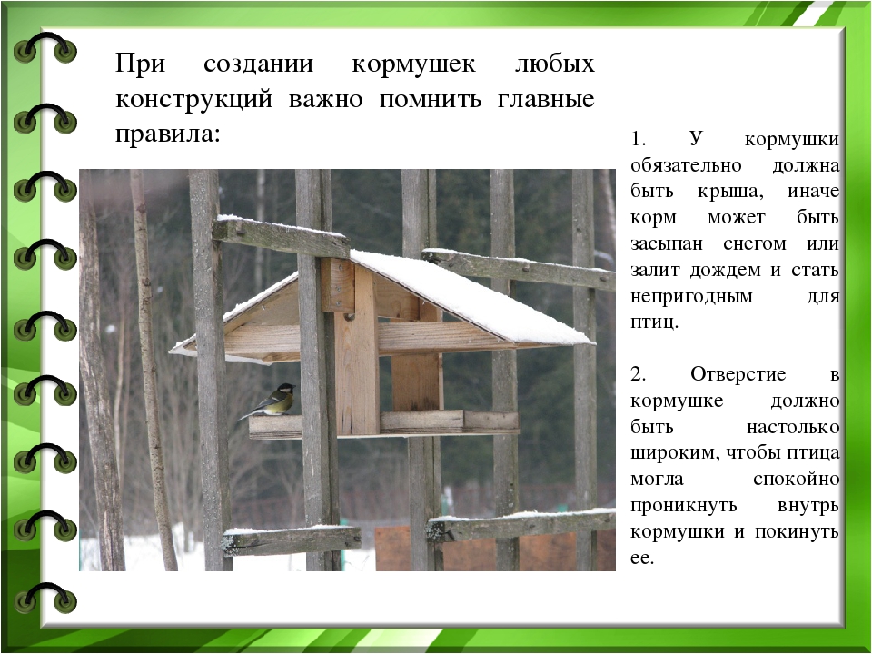 Презентация к проекту "Покормите птиц зимой"