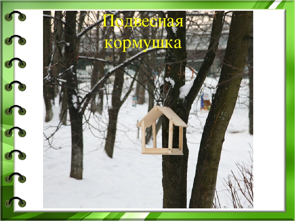 Презентация к проекту "Покормите птиц зимой"