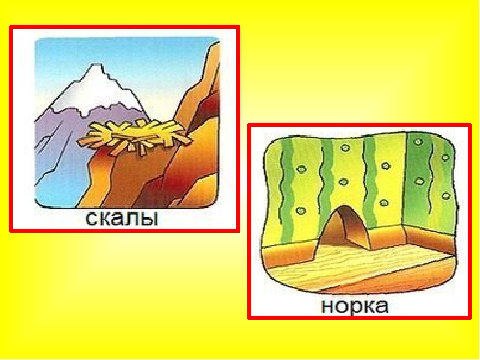 Игра - презентация для детей младшего дошкольного возраста "КТО ГДЕ ЖИВЕТ"