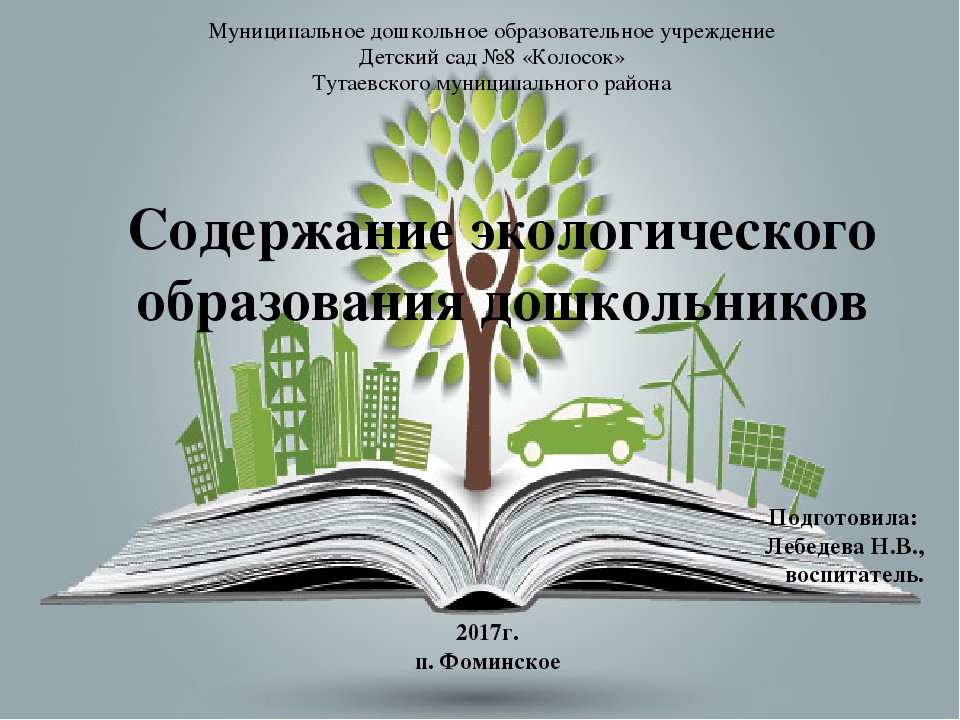 Содержание экологического воспитания дошкольников