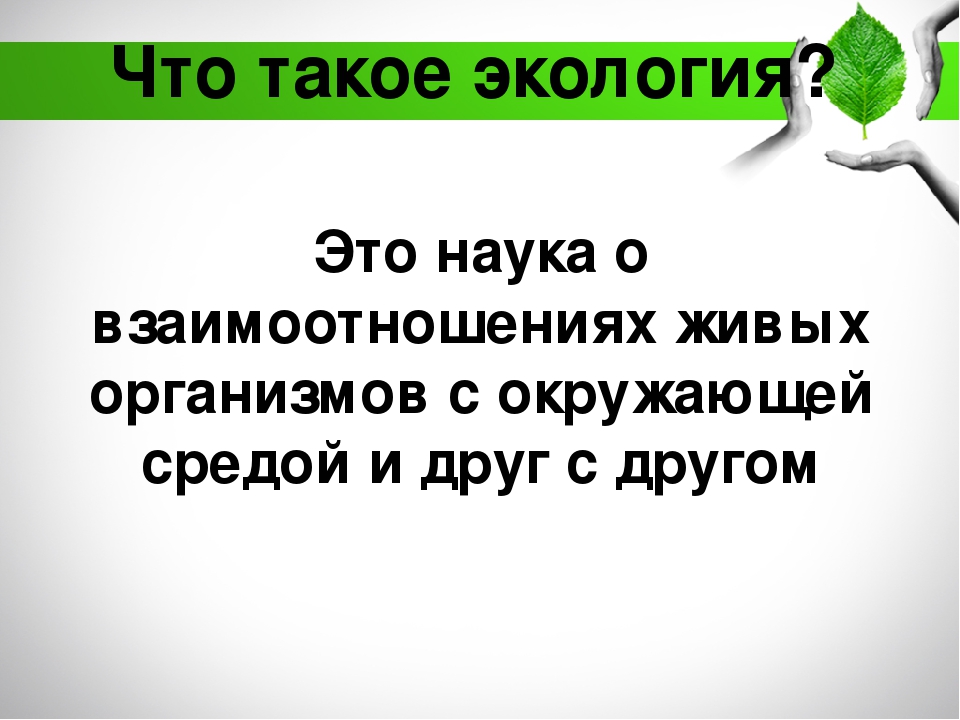 Содержание экологического воспитания дошкольников
