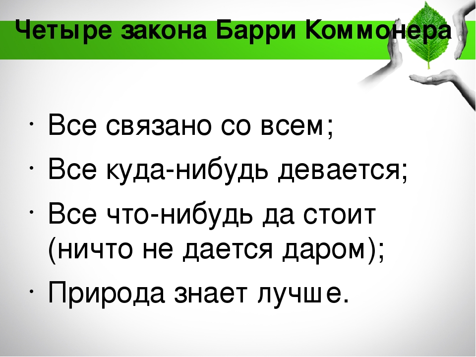 Содержание экологического воспитания дошкольников