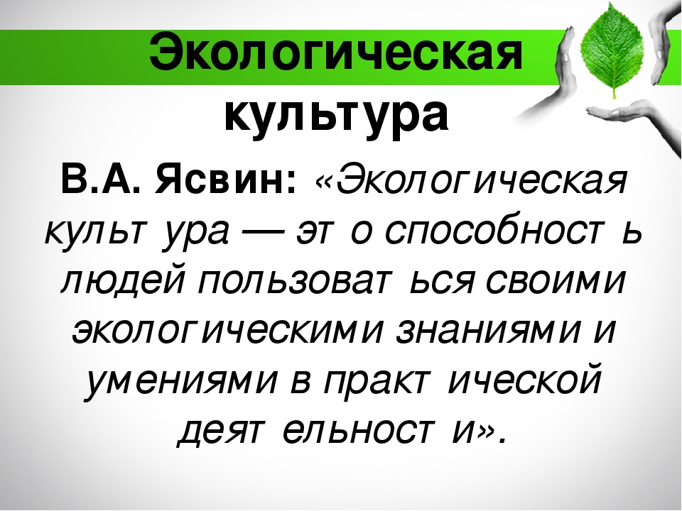 Содержание экологического воспитания дошкольников